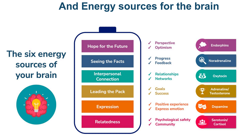 20230715193_energy_sources_for_the_brain.jpg