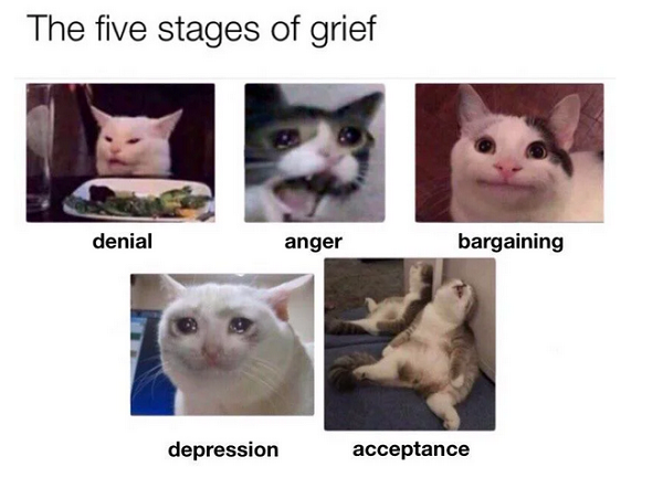 20231026141_five_stages_of_grief.jpg