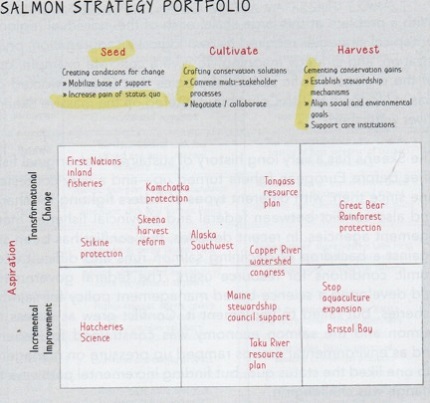 66_salmon_strategy_portfolio.jpg