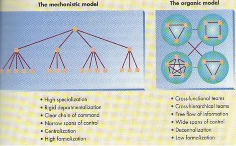 organisational development change management