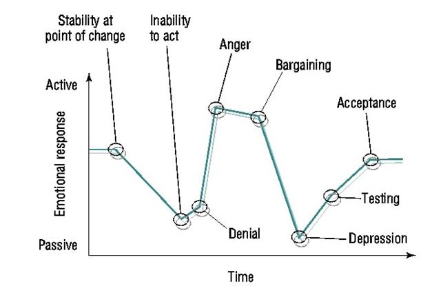 organisational development change management