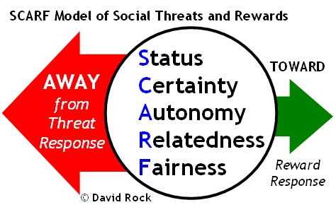 organisational development change management